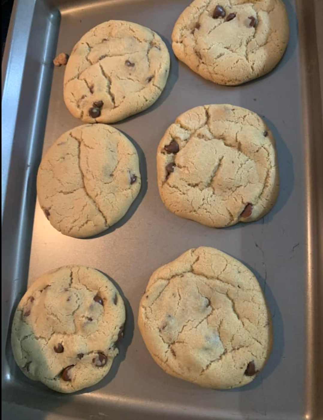 Chewy Chocolate Chip Cookies - LOCAL PICKUP